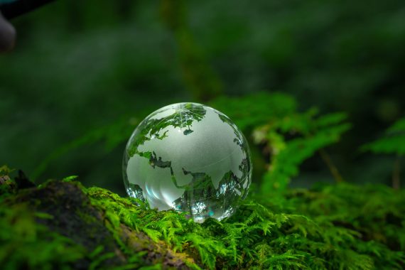 crystal-globe-placed-on-moss-esg-concept-for-envir-2023-11-27-05-33-03-utc