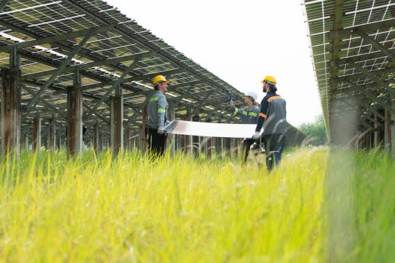 Engineering and technicians unloading repaired solar panels to be installed on the rows of solar cells lined up on hundreds of acres of grass