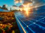 A close-up of solar panels on a morning sunny day